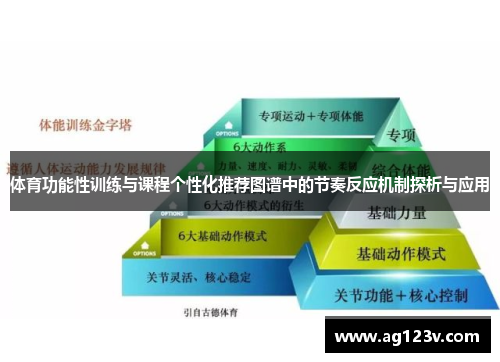 体育功能性训练与课程个性化推荐图谱中的节奏反应机制探析与应用